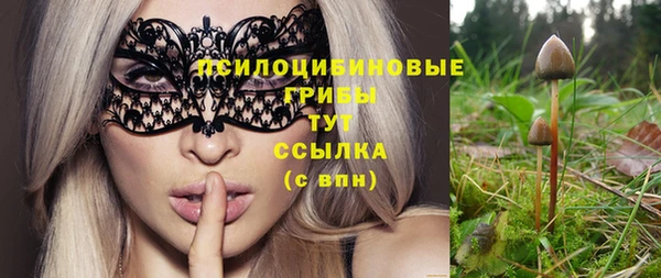 прущие крисы Армянск