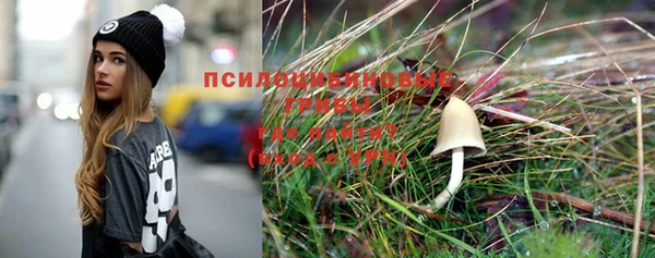 прущие крисы Армянск