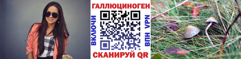 Псилоцибиновые грибы ЛСД  где купить   Мичуринск 